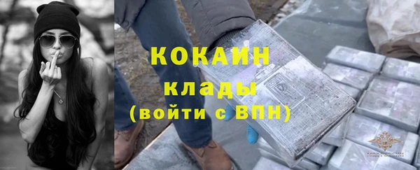 гидра Балахна