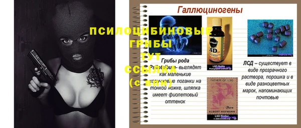 тгк Баксан