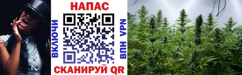 наркотики  Глазов  Бошки марихуана конопля 